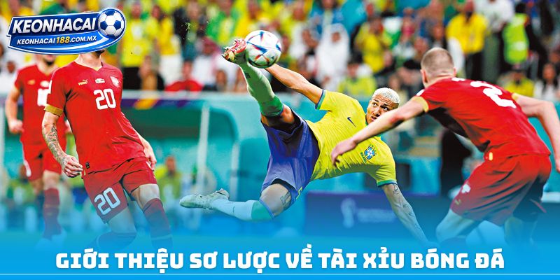 Giới thiệu sơ lược về tài xỉu bóng đá