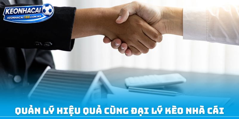 Quản lý hiệu quả cùng đại lý kèo nhà cái