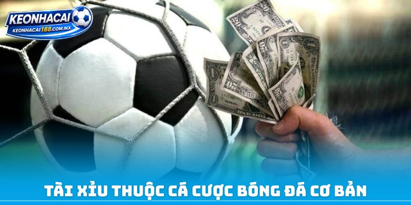 Tài Xỉu thuộc cá cược bóng đá cơ bản