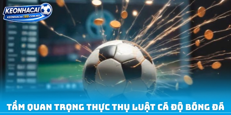 Tầm quan trọng thực thụ luật cá độ bóng đá