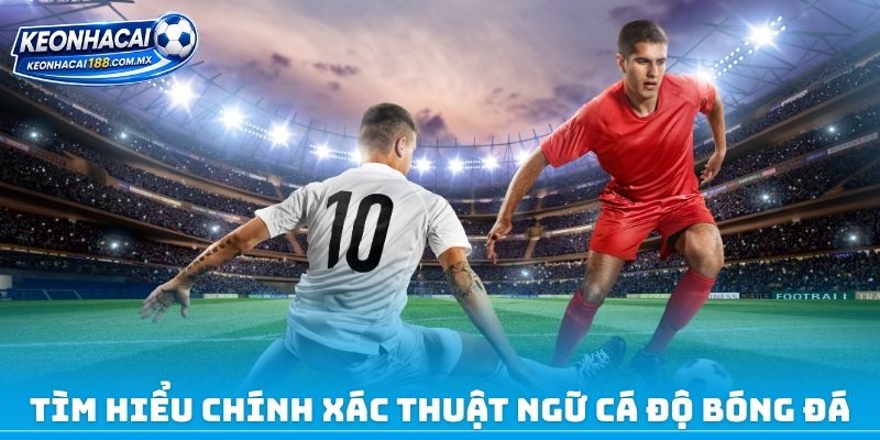 Tìm hiểu chính xác thuật ngữ cá độ bóng đá