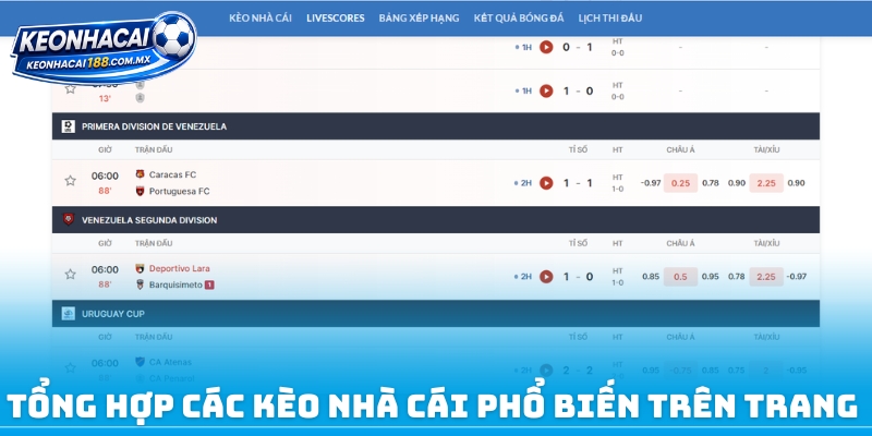 Tổng hợp các kèo nhà cái phổ biến trên trang