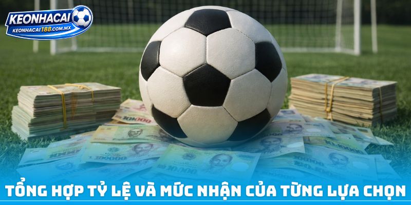 Tổng hợp tỷ lệ và mức nhận của từng lựa chọn